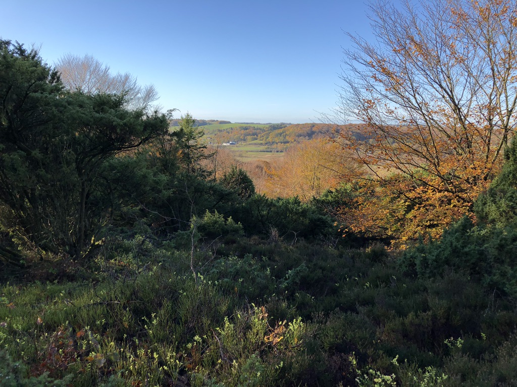 Efterår i Rebild Bakker