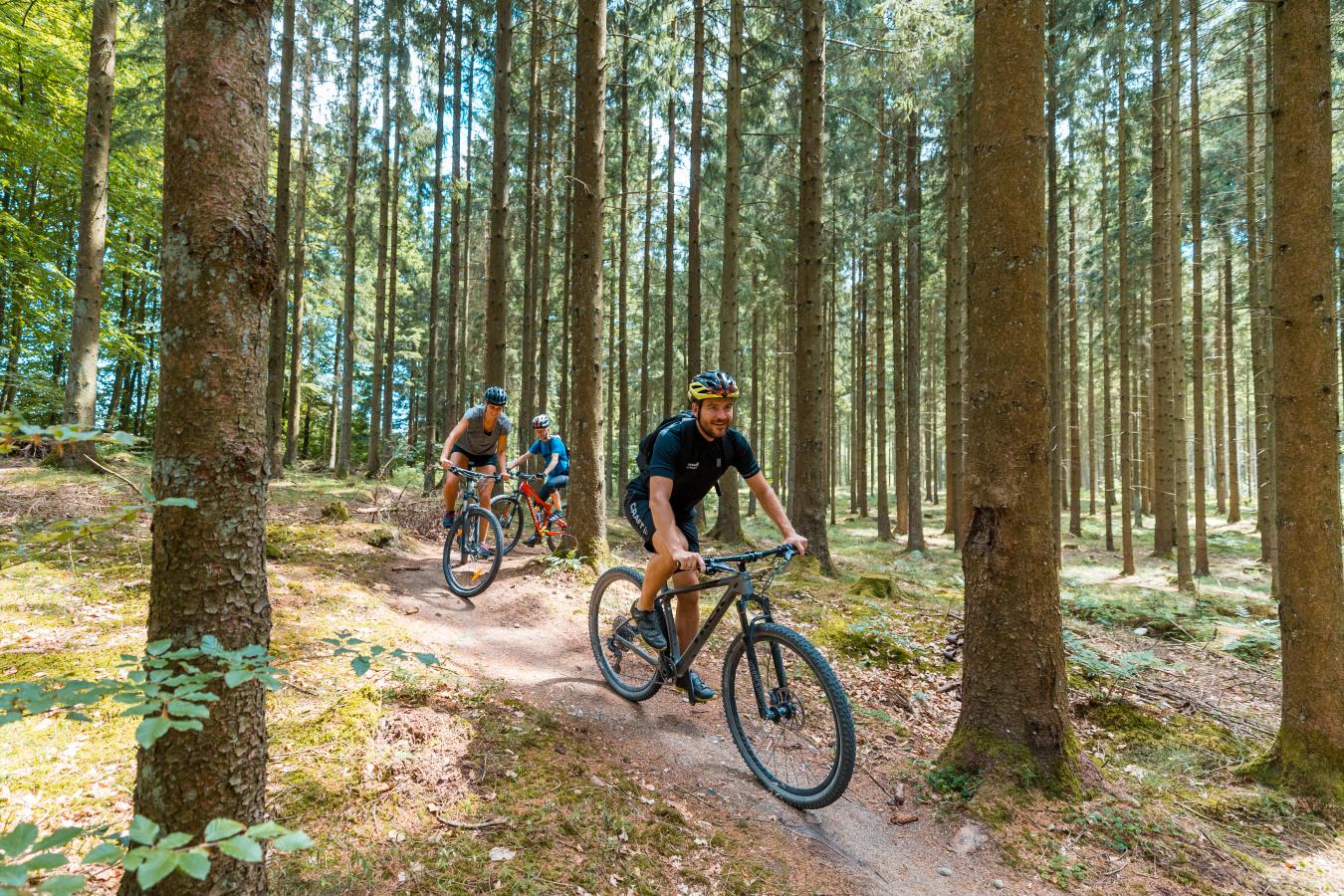 Mountainbike i Rold Skov