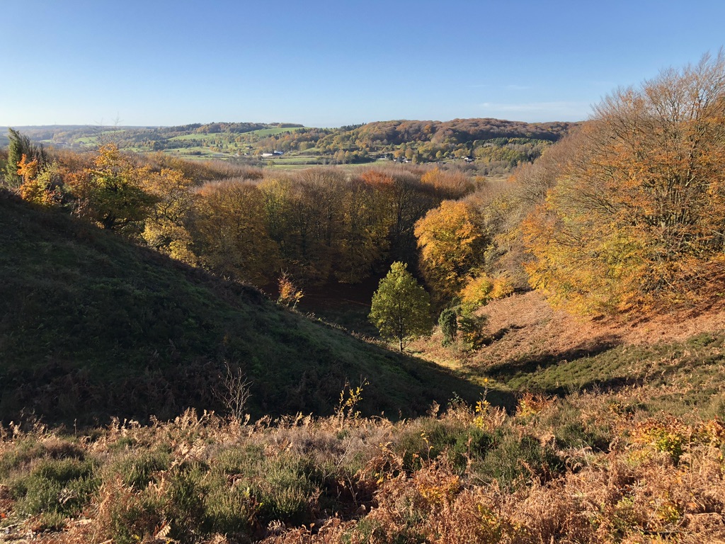 Efterår i Rebild Bakker