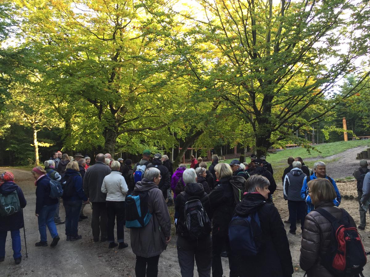 Guidet tur med Helge Quistorff