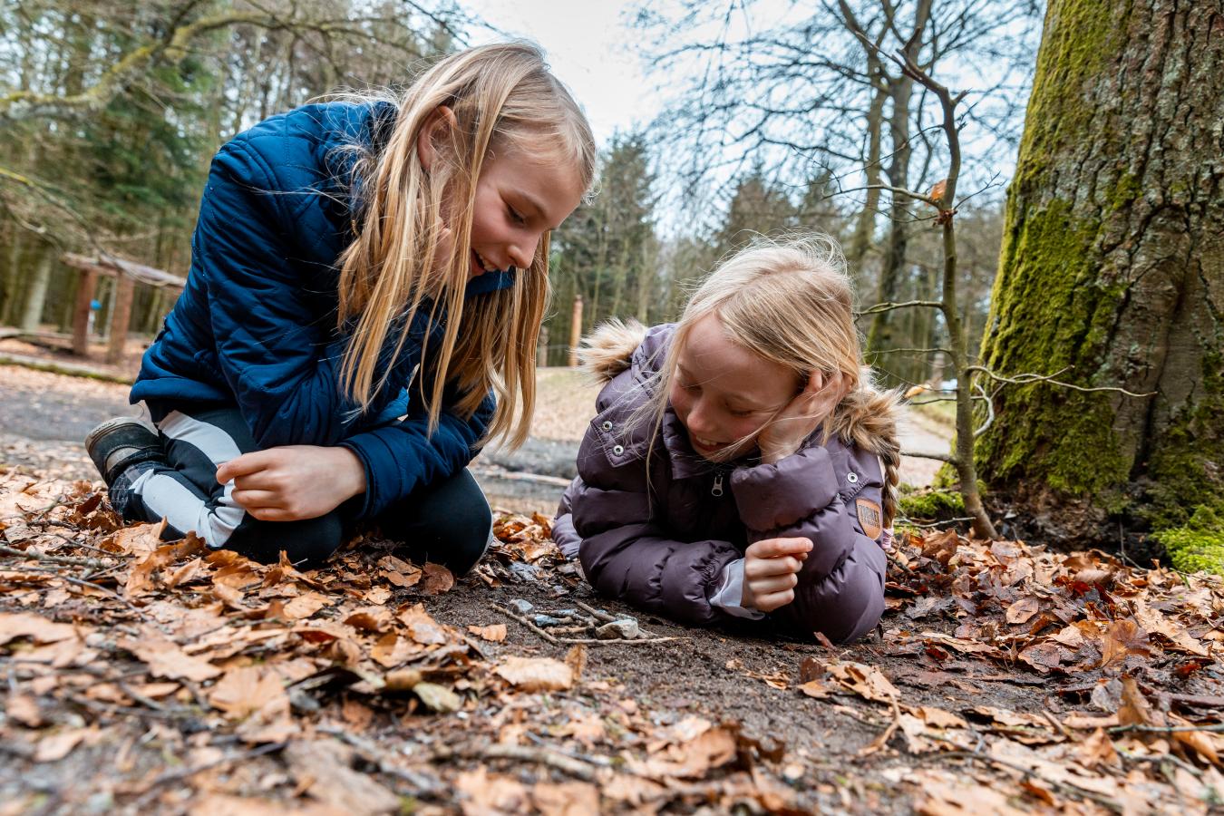 Piger spiller spil i skovbunden
