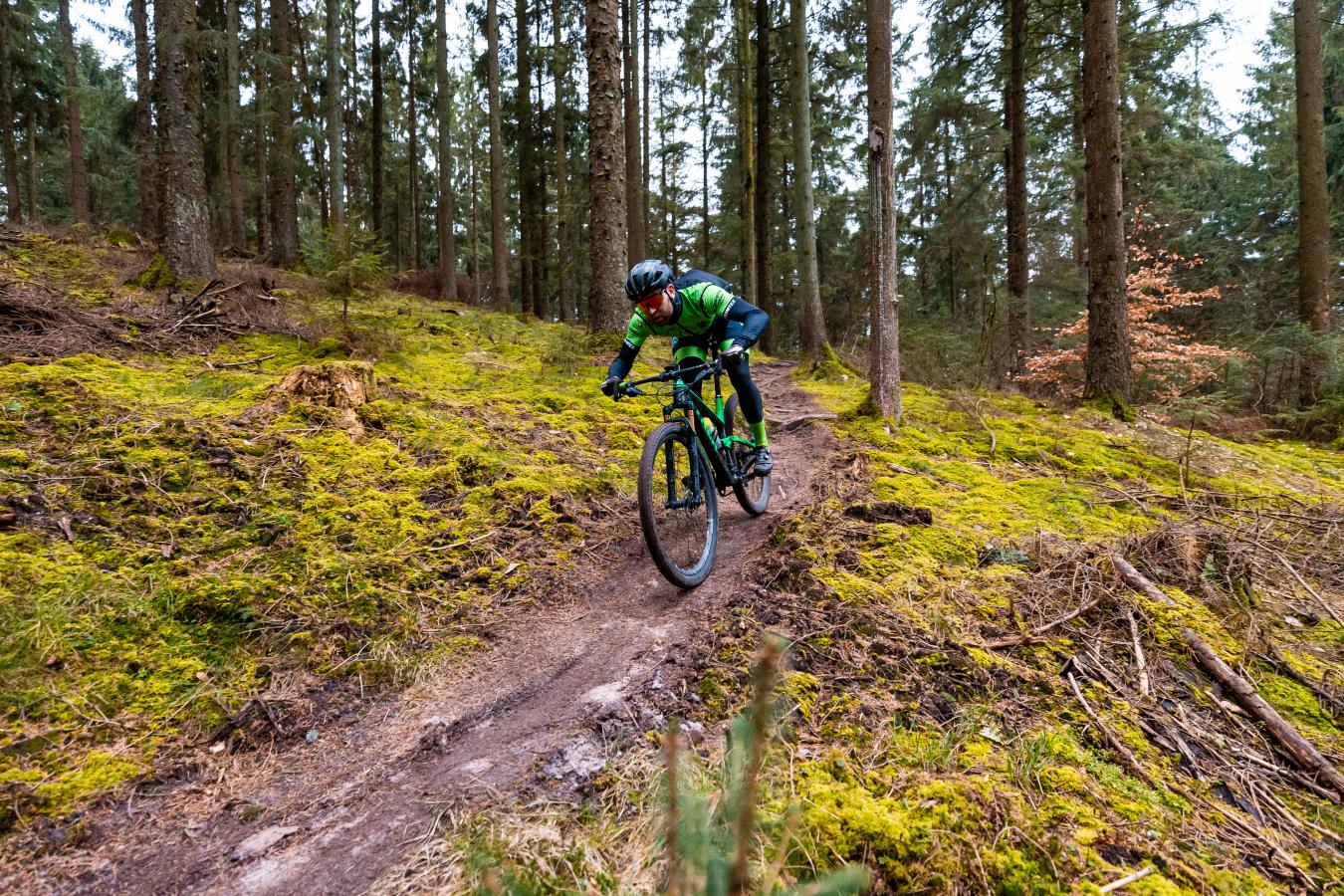 Mountainbike i Rold Skov