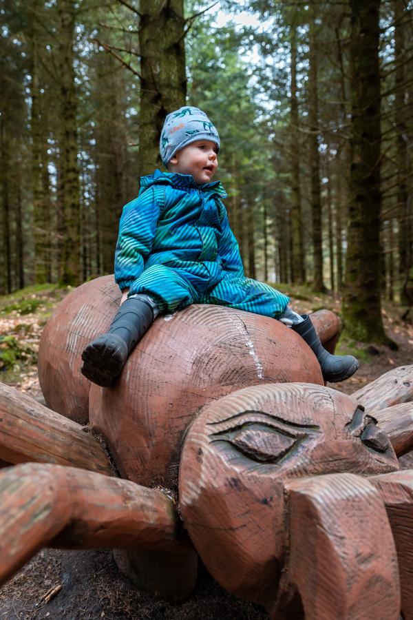 Dreng på træ edderkop på Røverknolden