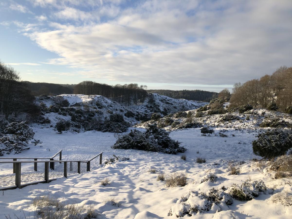 Rebild Bakker vinter sne
