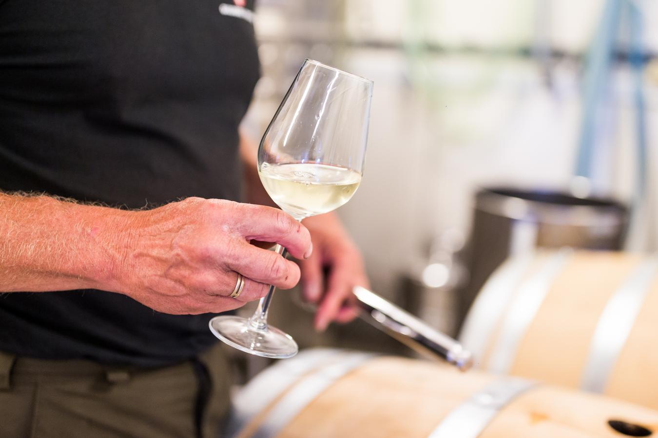 Vin fra Guldbæk vingård