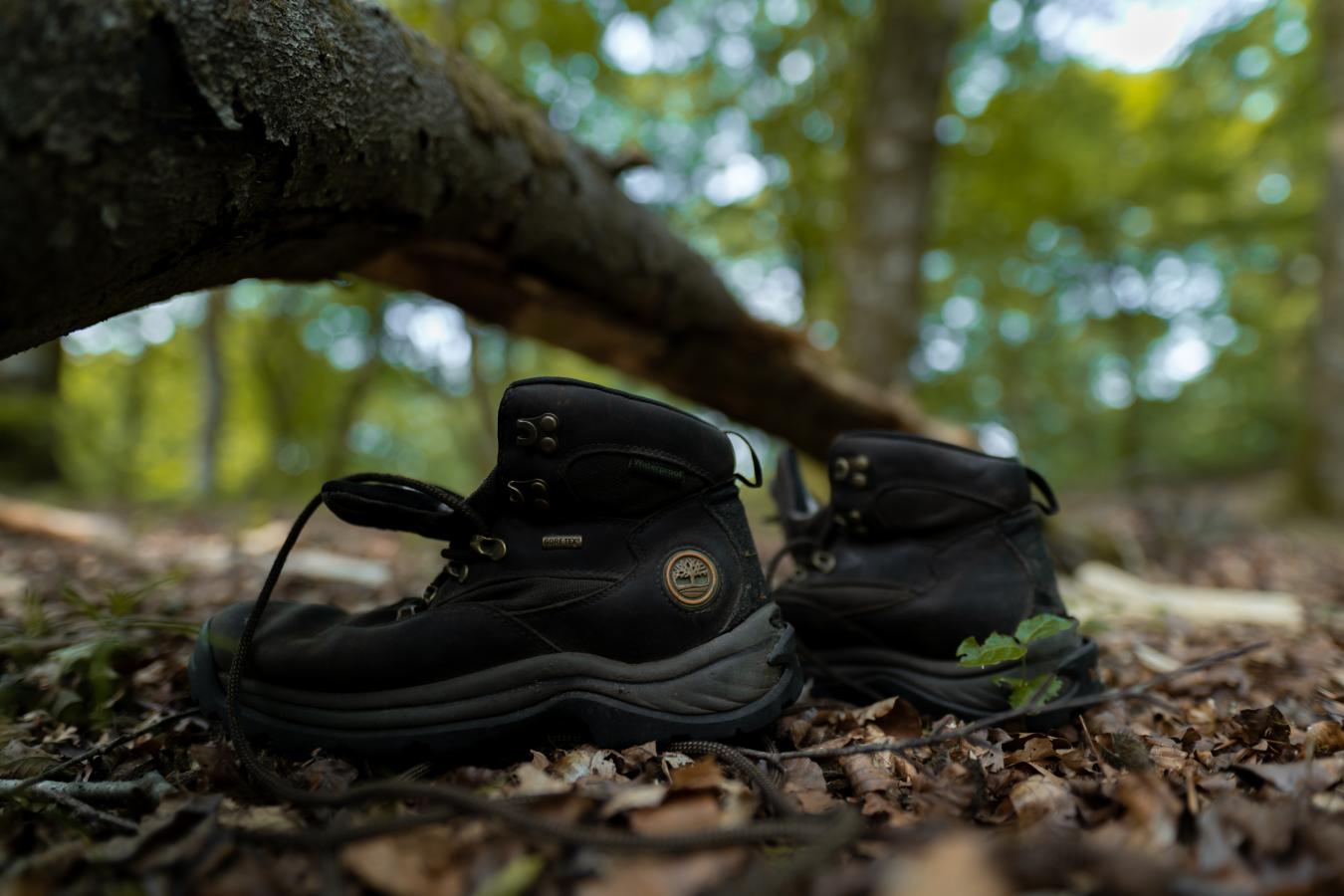 Vandrestøvler i skovbunden