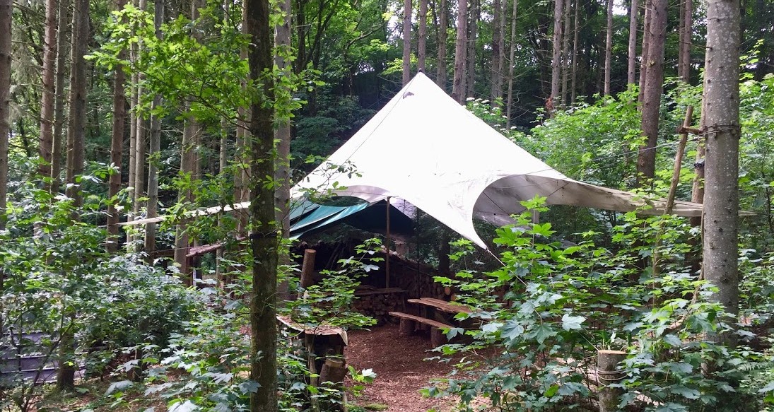 Naturbase i Rold skov