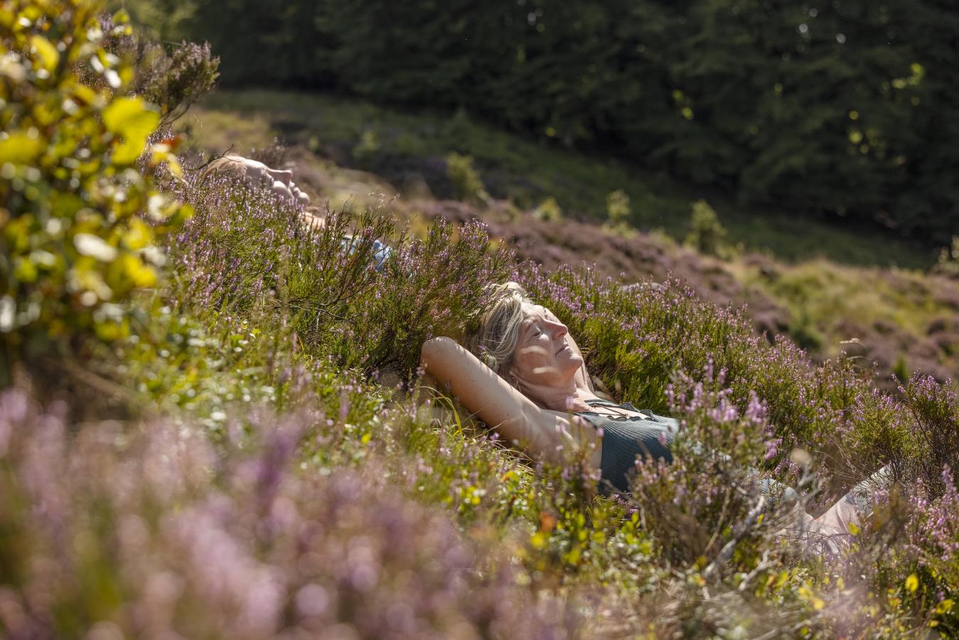 Skovbad i Rebild National Park