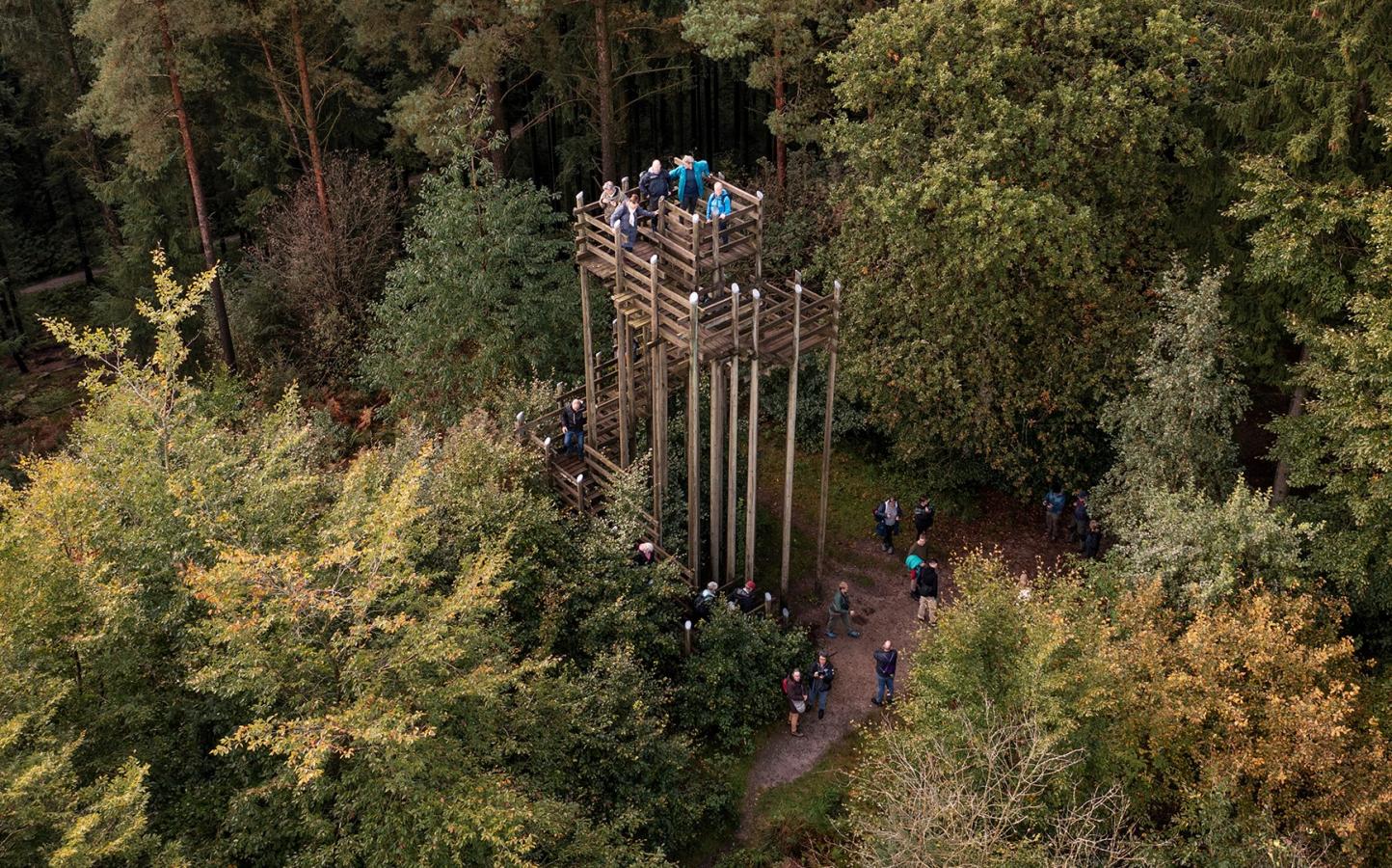 Skovtårnet Høje Odde, Rold skov