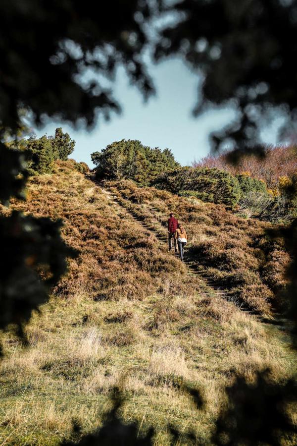 Rebild Bakker Som Samtalerum