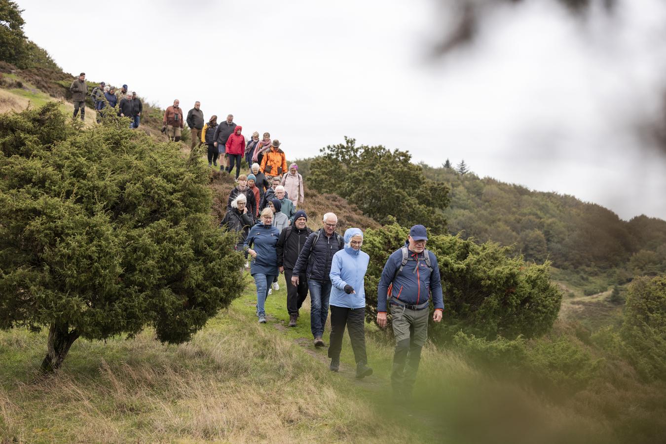 Vandring i Rebild National Park