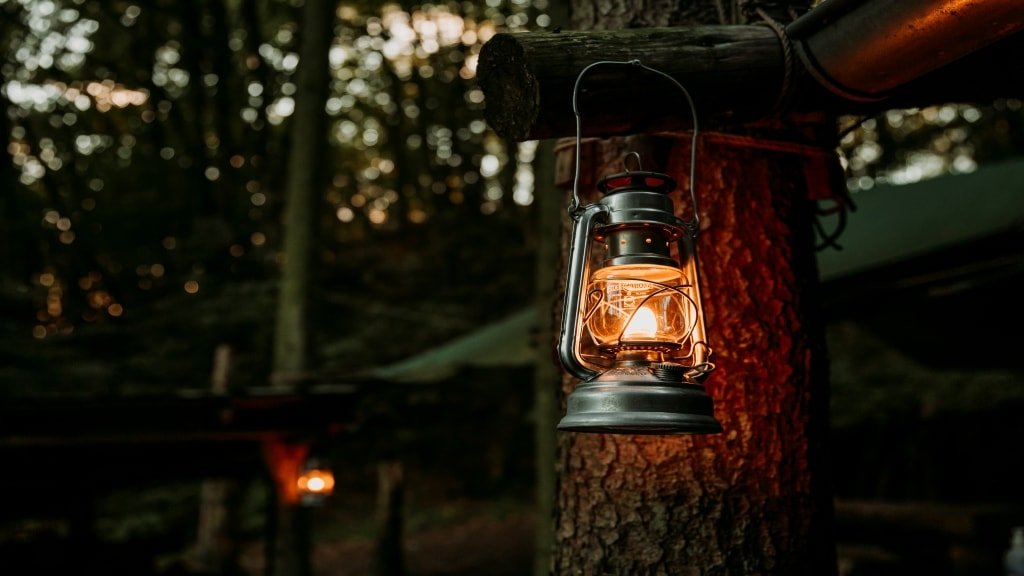 Lygte i det mørke Rold Skov