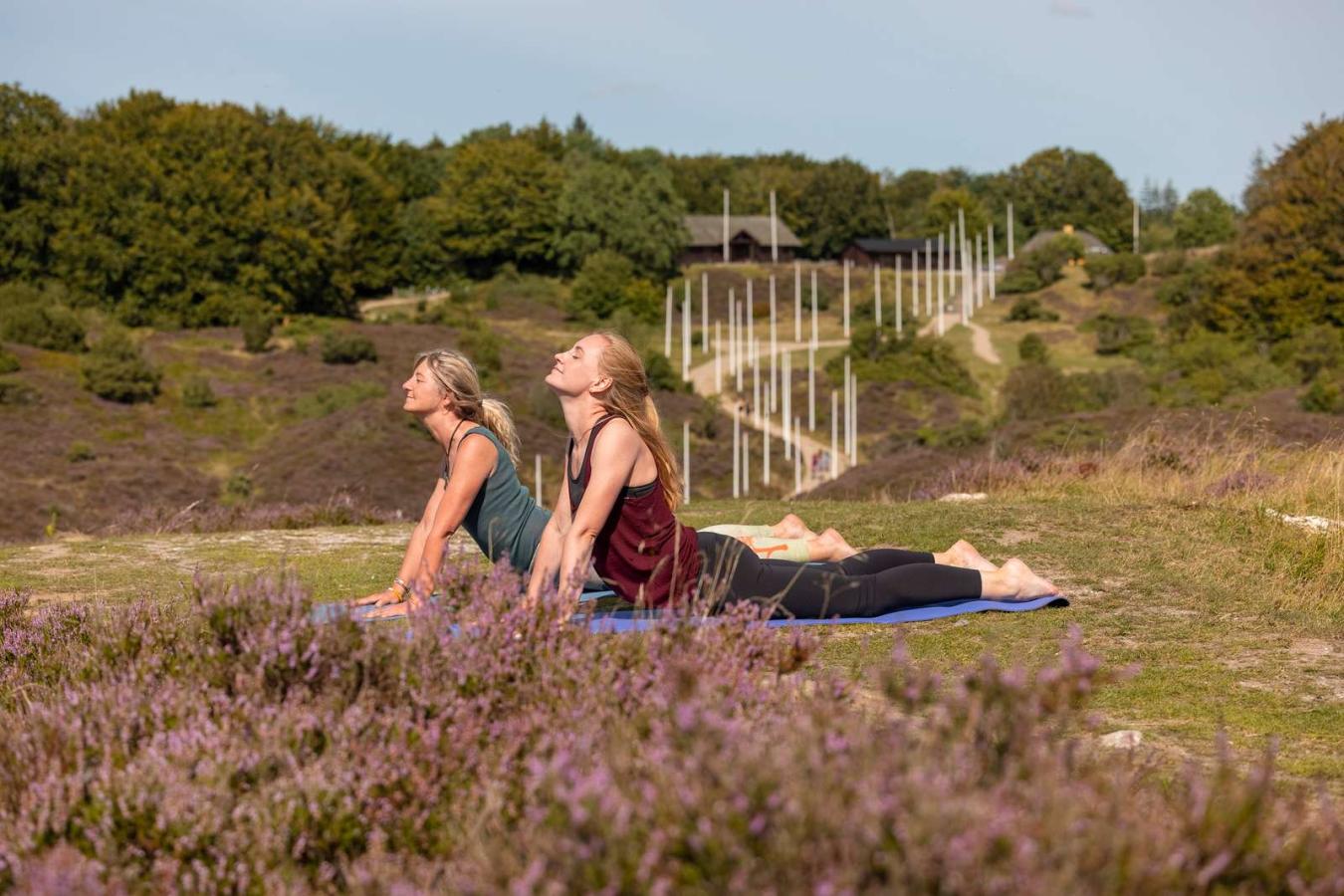 Yoga og mindfulness i Rebild Bakker