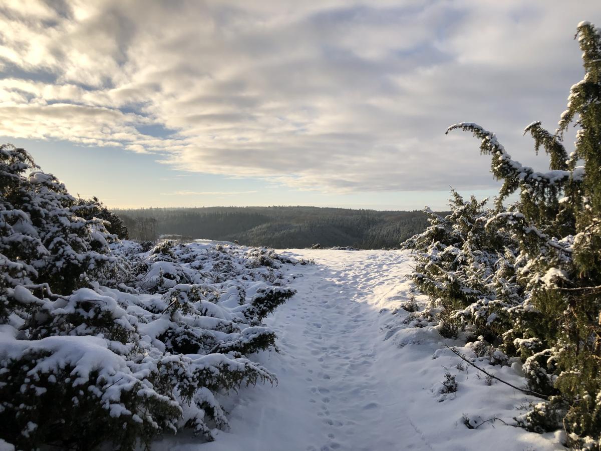 Udsigtspunktet sønderkol i Rebild Bakker med sne