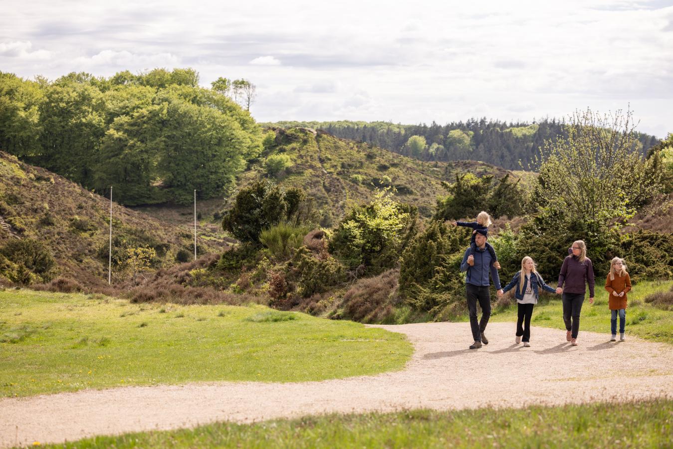 Forår i Rebild Bakker