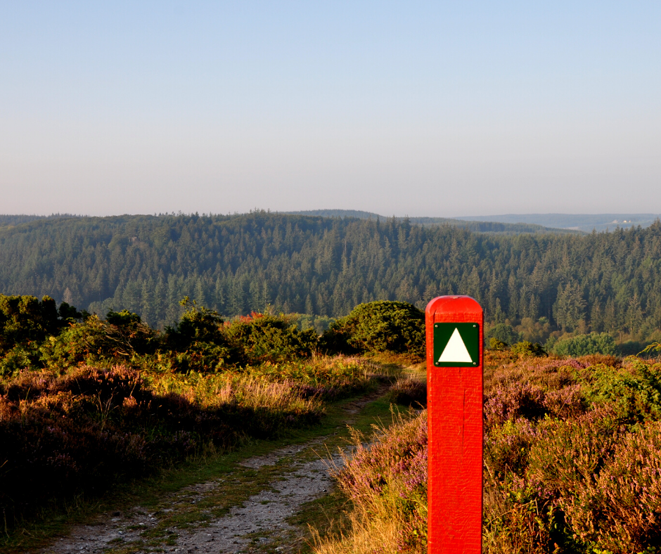 Udsigtspunkt fra Sønderkol i Rebild Bakker