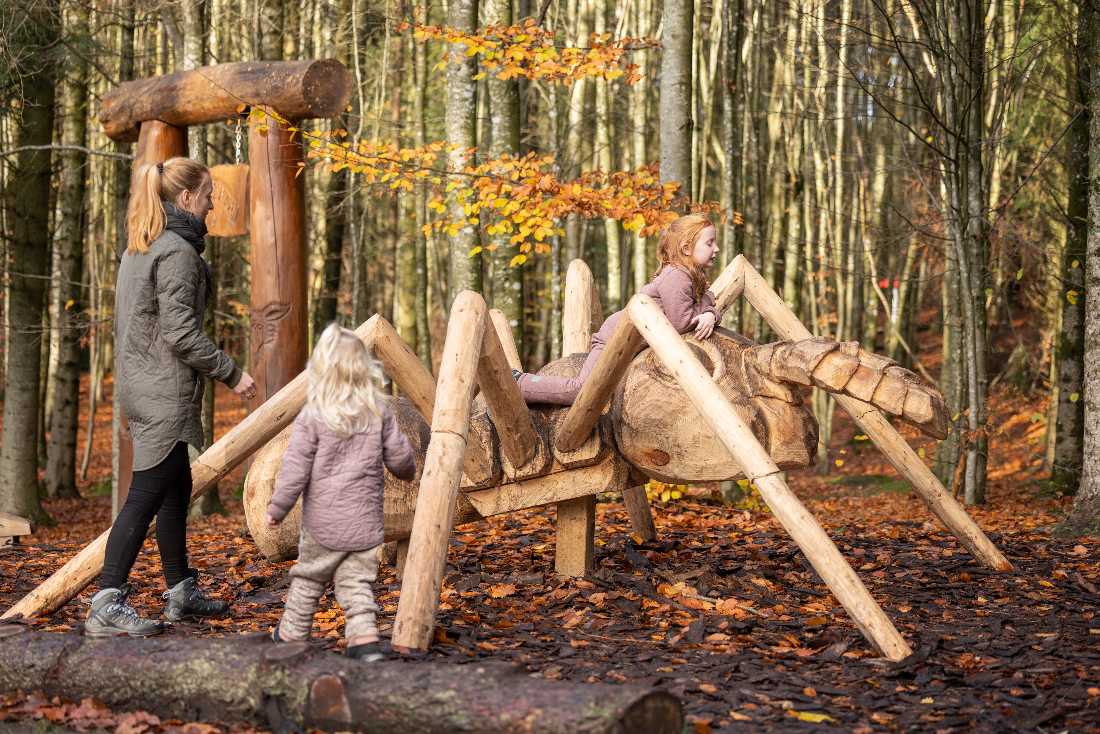 Efterår på Røverknolden