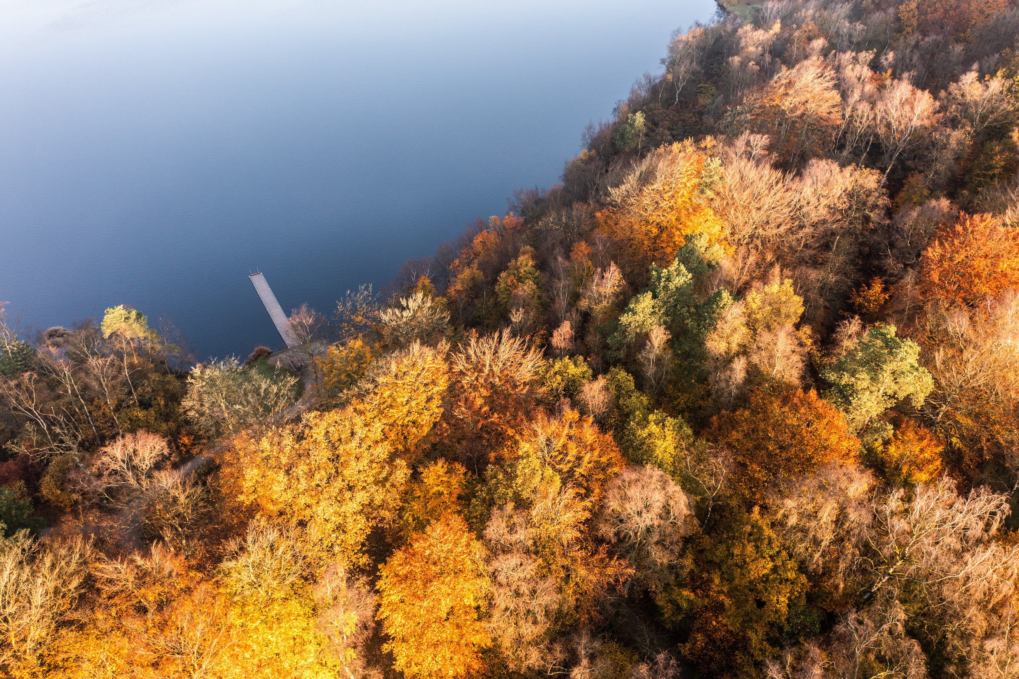 Efterår ved store økssø