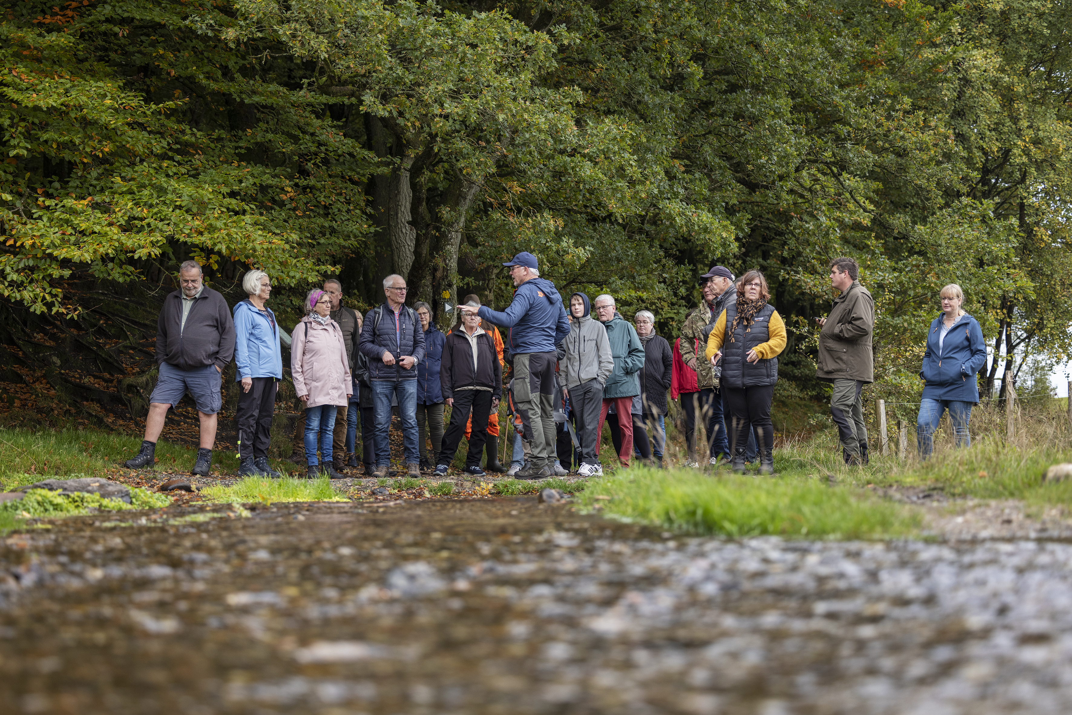 Vandring i Rebild Bakker, grupper på tur
