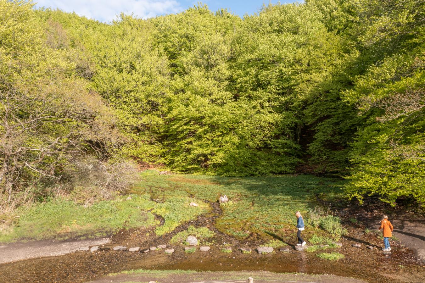 Kildevandring, Ravnkilden, veninder Rebild Bakker