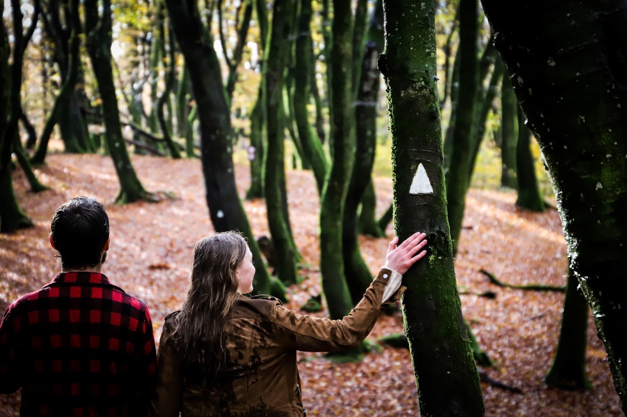 Vandring i Rebild Bakker, par på den hvide rute