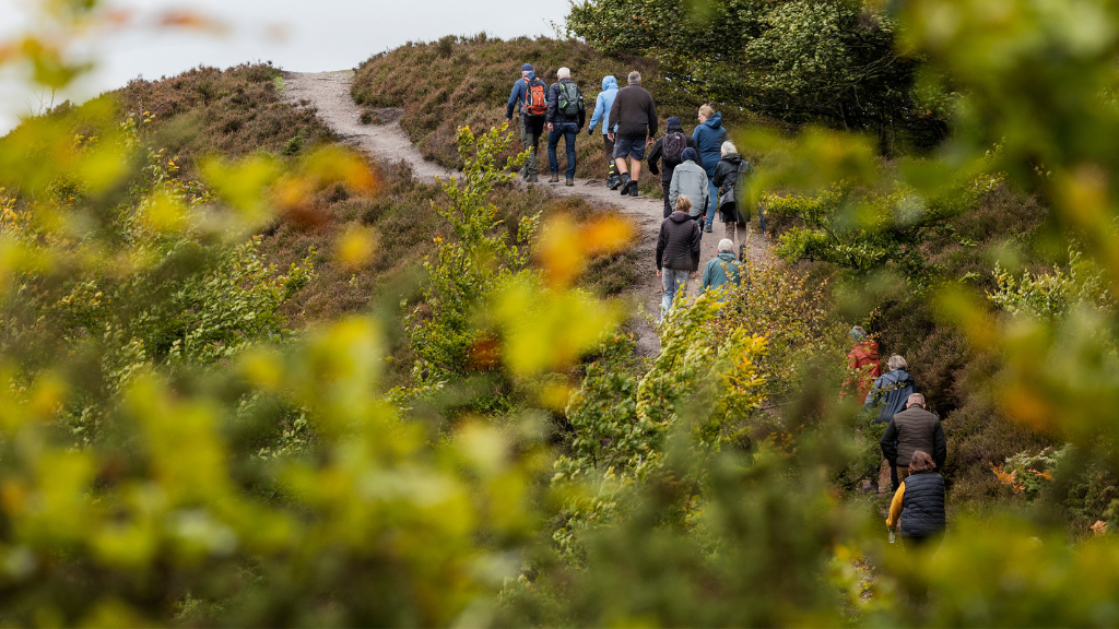 Vandretur i Rebild Bakker