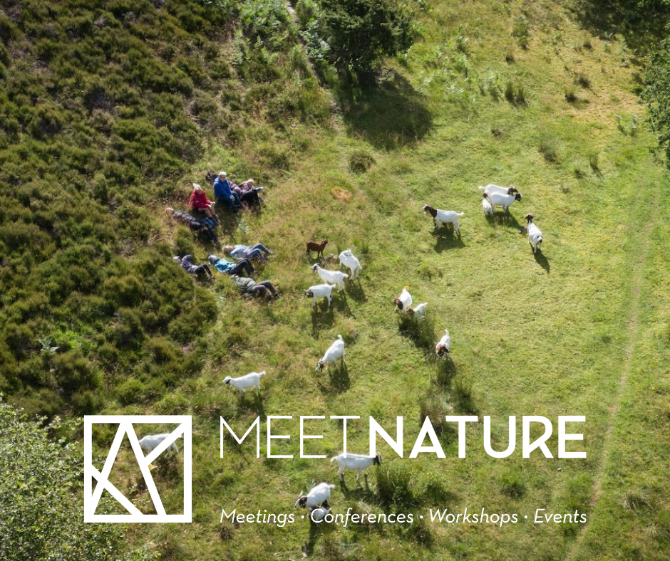 REFERENCER FRA AKTØRERNE