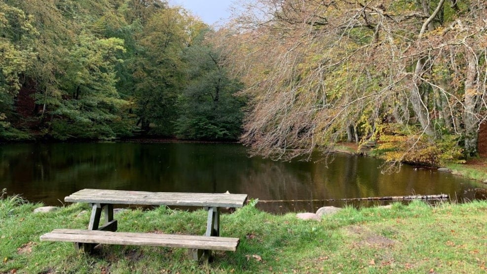 bålplads ved Bælum Skovpavillon