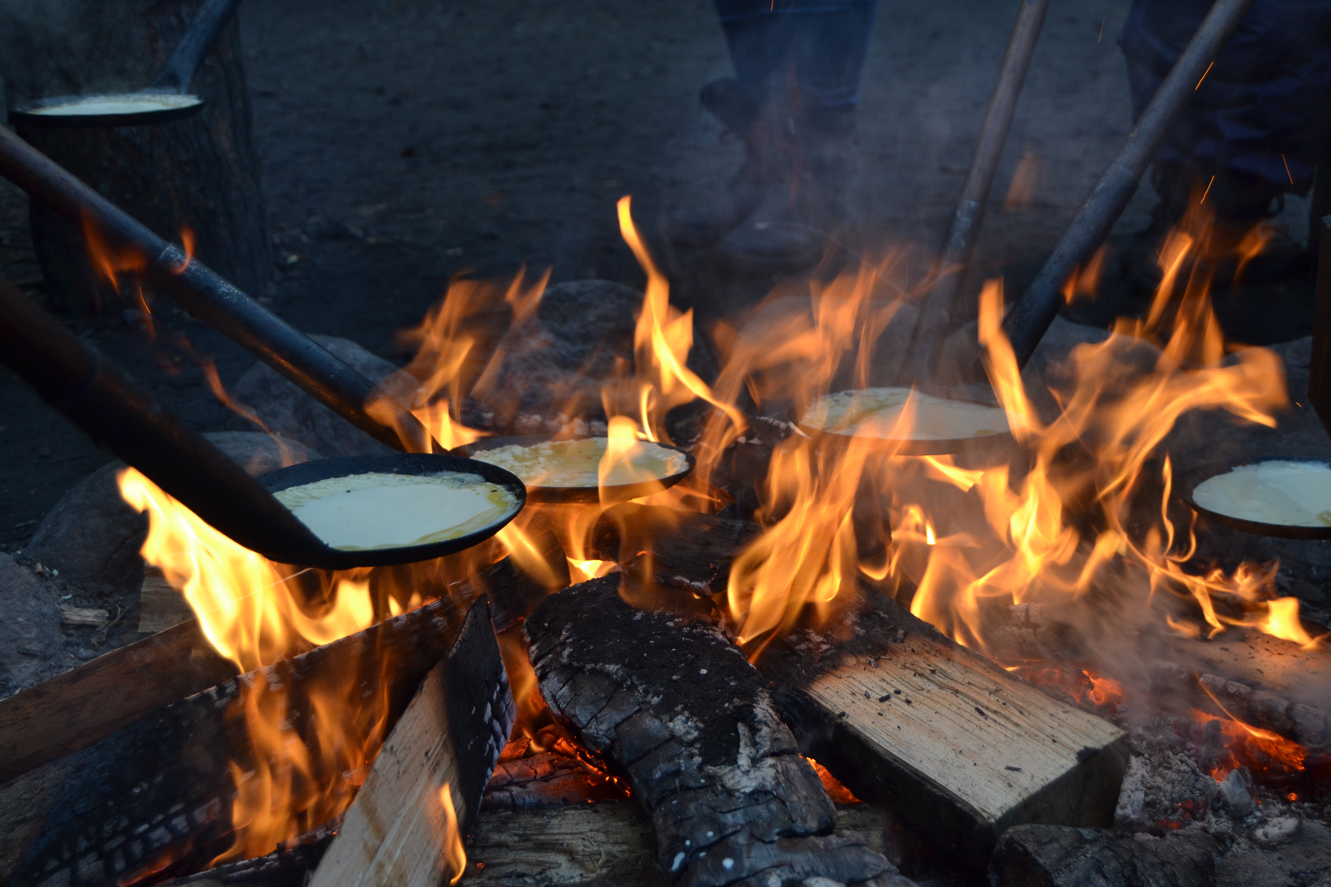 Lav mad min naturbog