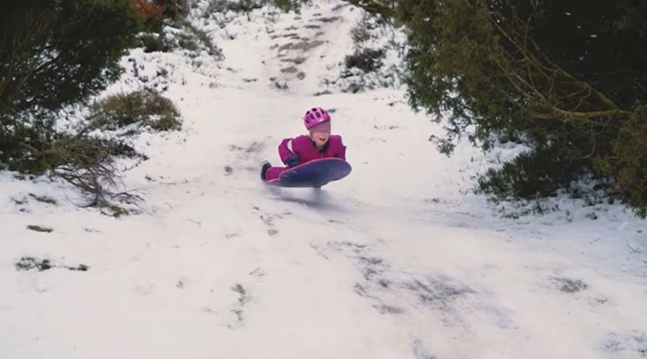 Ski og kælk i Rold skov og Rebild Bakker