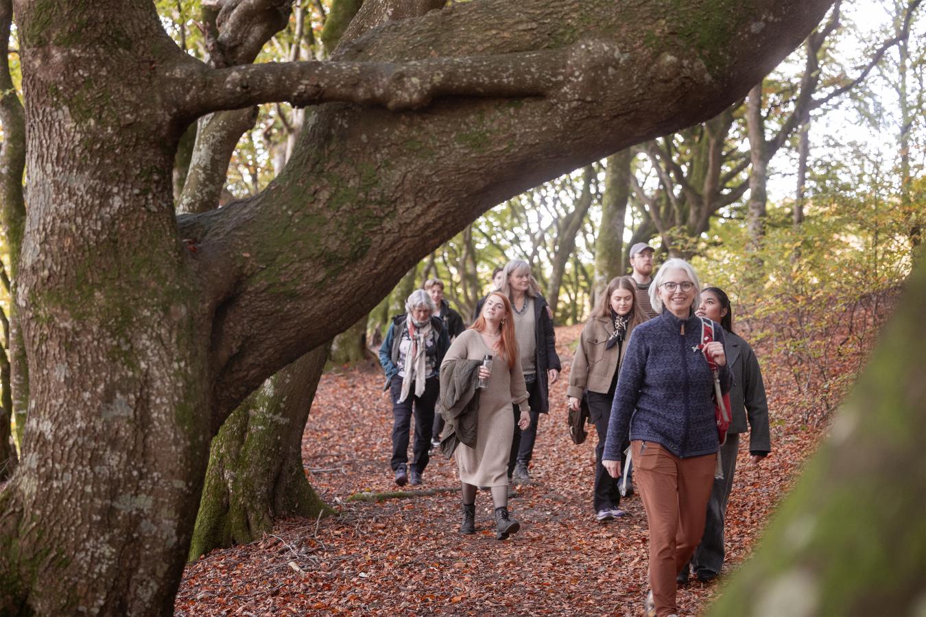 Velværevandring med Marianne Køpke