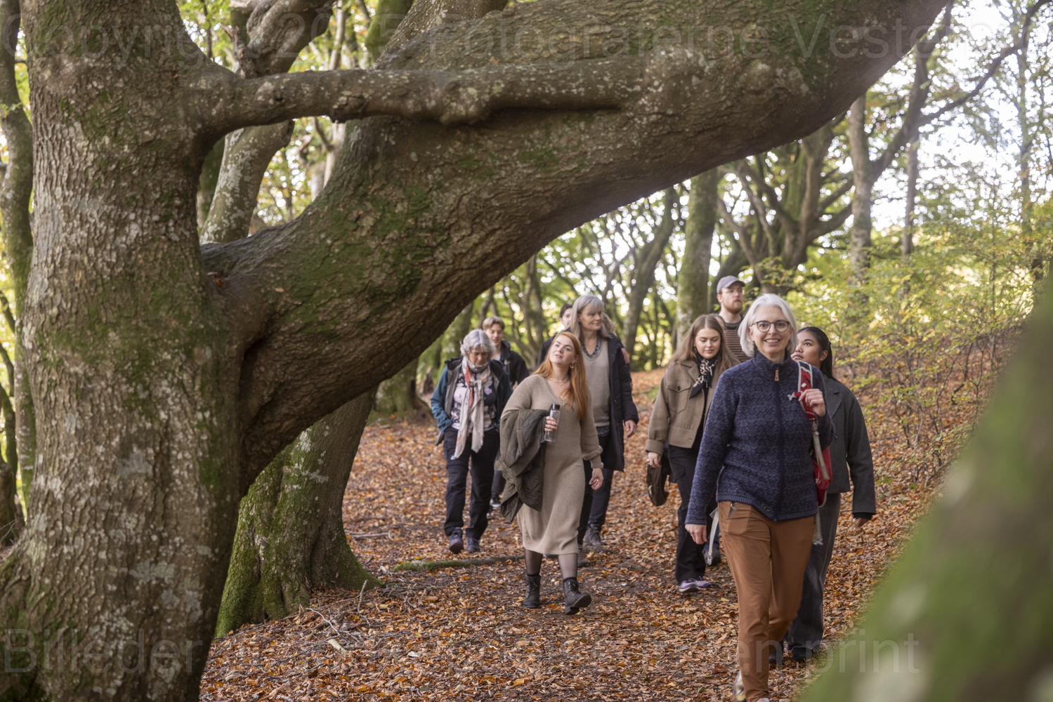 Guidede tur i Rold skov