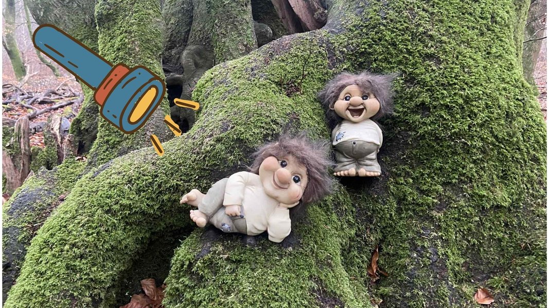 Vandretur i troldeskoven